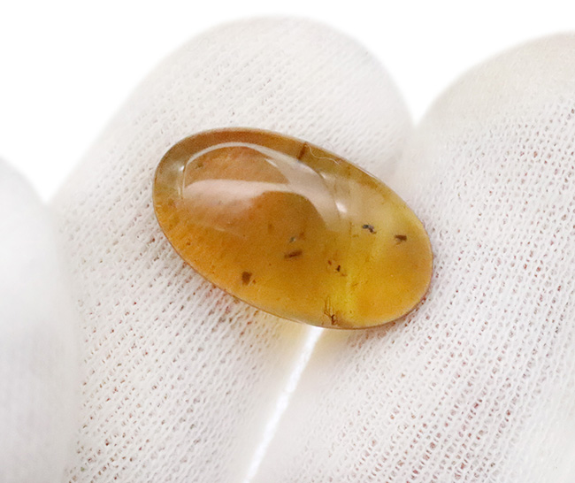 美しい琥珀色と、白亜紀の森の記憶を宿す価値ある琥珀 … バーマイト（Burmite）（その4）