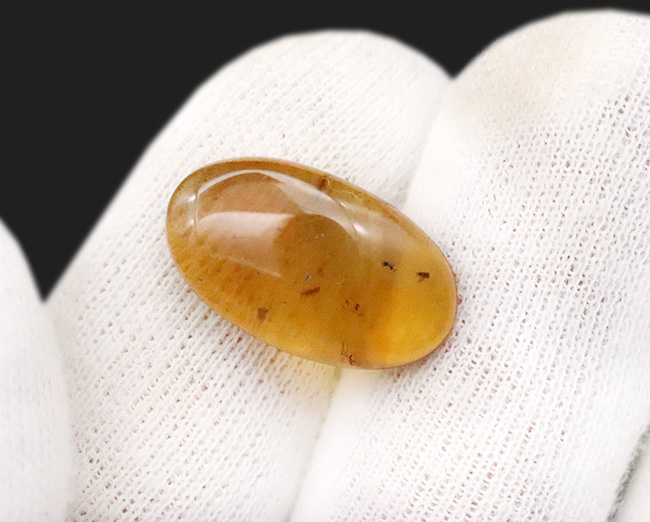 美しい琥珀色と、白亜紀の森の記憶を宿す価値ある琥珀 … バーマイト（Burmite）（その5）