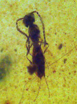 お客様の声　写真