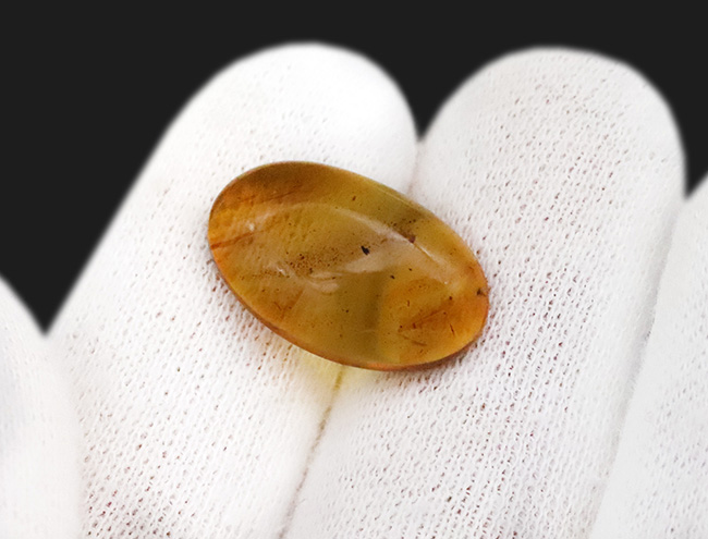 バーマイトの中でも、ひときわクリアな個体！翅脈までしっかり保存された羽虫が潜む、約1億年前の琥珀「バーマイト（Burmite）」（その6）