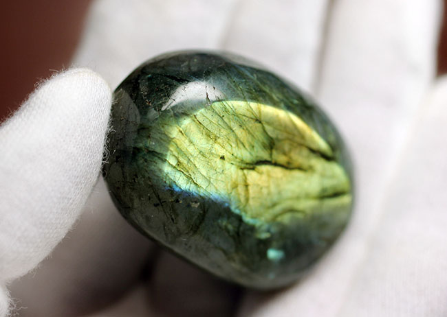 6.ラブラドライトで作ったカミキリ虫　　天然石　処分 6.ラブラドライトで作ったカミキリ虫天然石処分