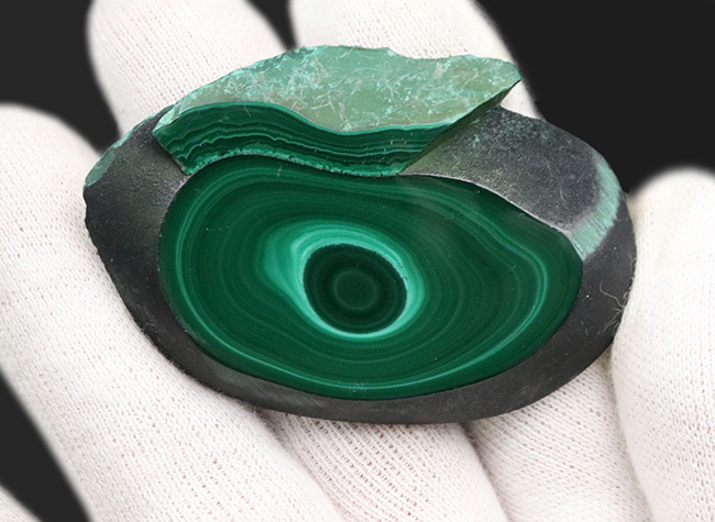 明暗あるグリーンが魅力的！紀元前から愛されてきた古代の宝石、マラカイト（Malachite・孔雀石）のハンドポリッシュ標本。高品位のコンゴ産（その5）