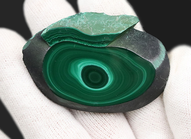明暗あるグリーンが魅力的!紀元前から愛されてきた古代の宝石、マラカイト(Malachite・孔雀石)のハンドポリッシュ標本。高品位のコンゴ産(その5)
