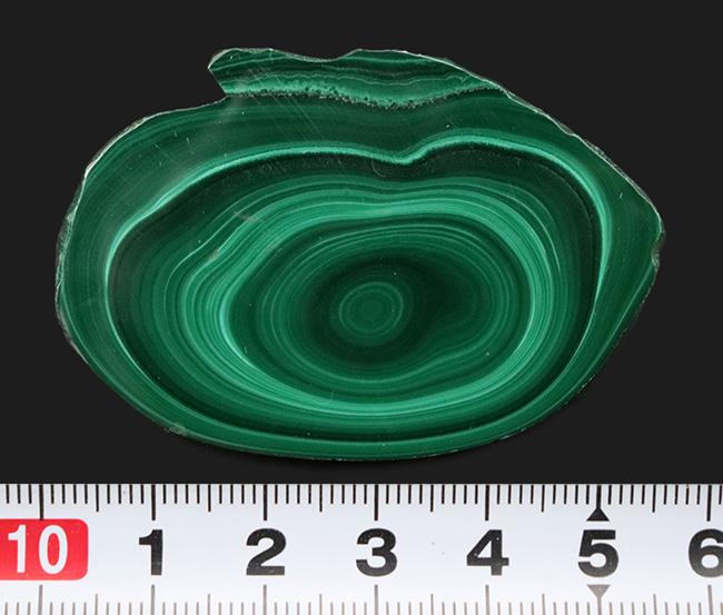明暗あるグリーンが魅力的!紀元前から愛されてきた古代の宝石、マラカイト(Malachite・孔雀石)のハンドポリッシュ標本。高品位のコンゴ産(その8)