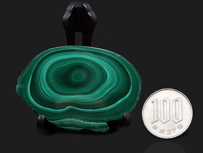 明暗あるグリーンが魅力的!紀元前から愛されてきた古代の宝石、マラカイト(Malachite・孔雀石)のハンドポリッシュ標本。高品位のコンゴ産(その9)