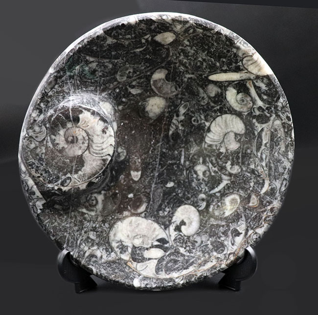 皿、小物入れ、インテリア、用途様々、古生代を代表する頭足類、ゴニアタイト（Goniatite）を含む石を加工したお皿の化石（その1）