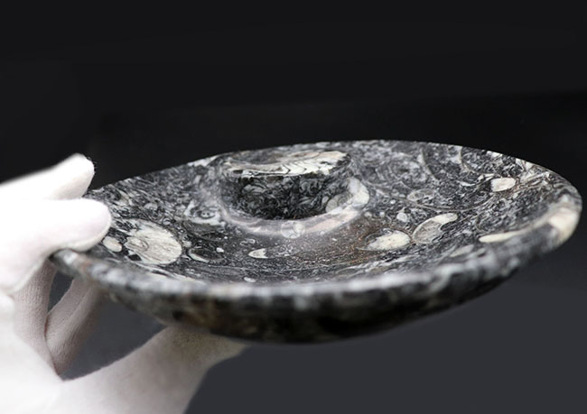 皿、小物入れ、インテリア、用途様々、古生代を代表する頭足類、ゴニアタイト（Goniatite）を含む石を加工したお皿の化石（その5）