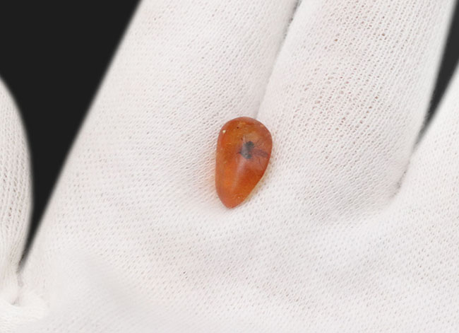 琥珀はロマンのかたまり!クモか羽アリか!?大きな黒い影を内包したドミニカ産の琥珀(Amber)(その3)