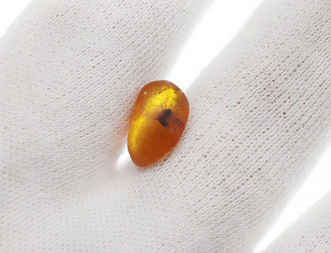 琥珀はロマンのかたまり!クモか羽アリか!?大きな黒い影を内包したドミニカ産の琥珀(Amber)(その4)