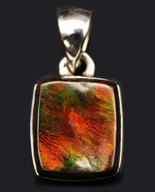 遊色アンモナイトの王様、カナダ産のアンモ”ラ”イト(Ammolite)を使ったペンダントトップ。カナダ産アルバータ州産。金具はスターリングシルバー。チェーン、革紐、ジュエリーケース付き(その1)
