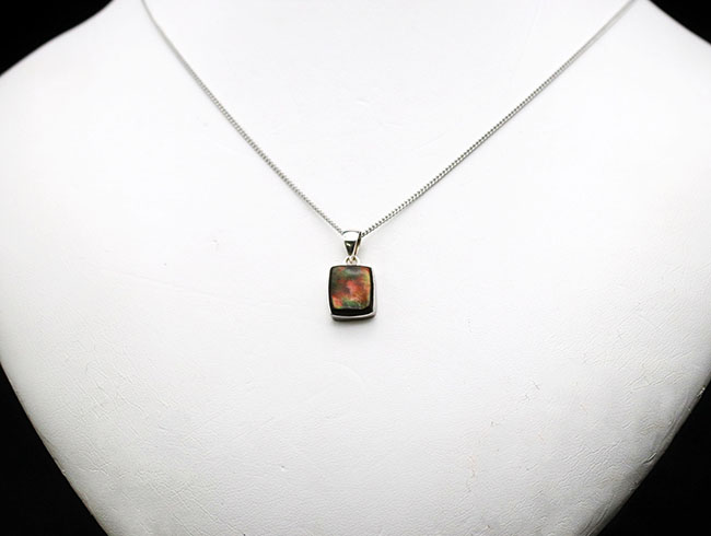 遊色アンモナイトの王様、カナダ産のアンモ”ラ”イト(Ammolite)を使ったペンダントトップ。カナダ産アルバータ州産。金具はスターリングシルバー。チェーン、革紐、ジュエリーケース付き(その2)