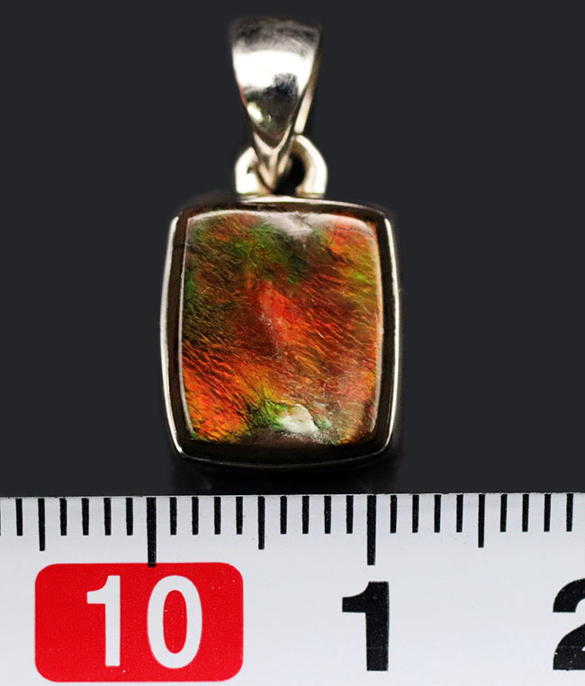 遊色アンモナイトの王様、カナダ産のアンモ”ラ”イト(Ammolite)を使ったペンダントトップ。カナダ産アルバータ州産。金具はスターリングシルバー。チェーン、革紐、ジュエリーケース付き(その7)