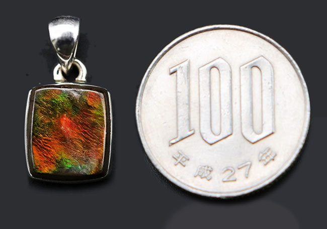 遊色アンモナイトの王様、カナダ産のアンモ”ラ”イト(Ammolite)を使ったペンダントトップ。カナダ産アルバータ州産。金具はスターリングシルバー。チェーン、革紐、ジュエリーケース付き(その8)