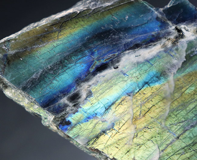 コレクター必見!由緒正しきラブラドル地方産の両面光りするラブラドライト(Labradorite)。ブルーのグラデーションにご注目ください(その7)