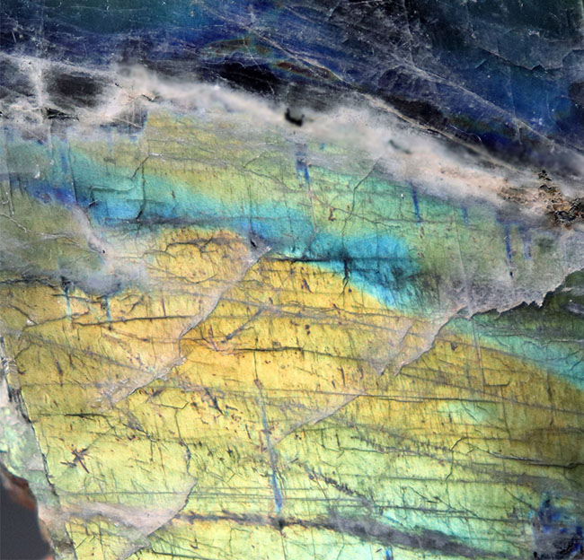 コレクター必見!由緒正しきラブラドル地方産の両面光りするラブラドライト(Labradorite)。ブルーのグラデーションにご注目ください(その9)