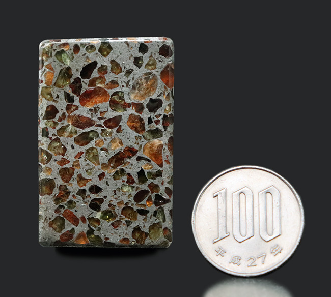 分厚いのにカンラン石の状態が極めて良好！キューブ状の重量感あふれる石鉄隕石、ケニアン・パラサイト。（その10）
