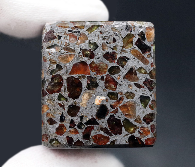 分厚いのにカンラン石の状態が極めて良好！キューブ状の重量感あふれる石鉄隕石、ケニアン・パラサイト。（その8）