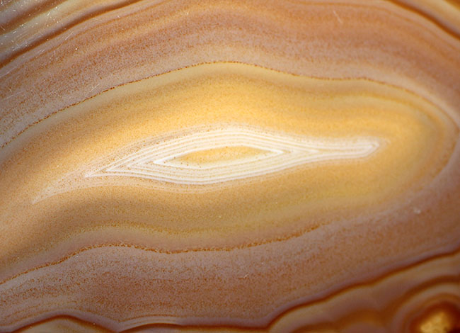 ブラジル産典型的な縞瑪瑙(Agate)(その5)