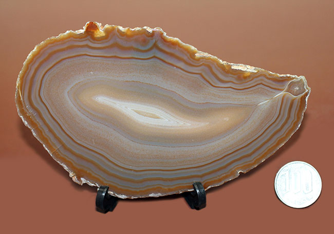 ブラジル産典型的な縞瑪瑙（Agate）（その8）