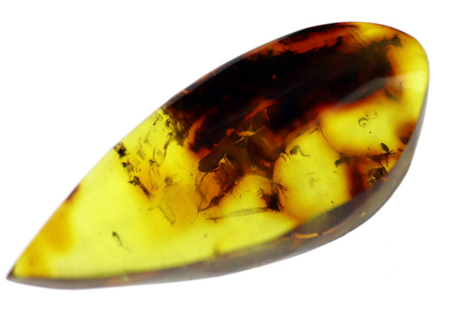 およそ４０００万年前の植物片を内包した透明度の高いドロップ型のバルト海産琥珀（Amber）（その2）