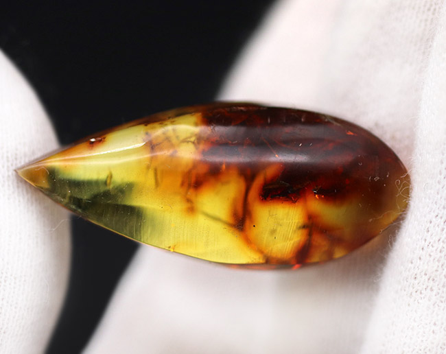 およそ4000万年前の植物片を内包した透明度の高いドロップ型のバルト海産琥珀(Amber)(その3)