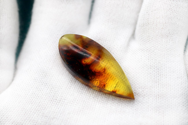およそ４０００万年前の植物片を内包した透明度の高いドロップ型のバルト海産琥珀（Amber）（その4）