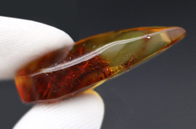 およそ４０００万年前の植物片を内包した透明度の高いドロップ型のバルト海産琥珀（Amber）（その5）