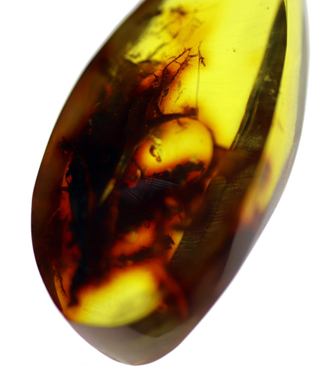 およそ４０００万年前の植物片を内包した透明度の高いドロップ型のバルト海産琥珀（Amber）（その6）