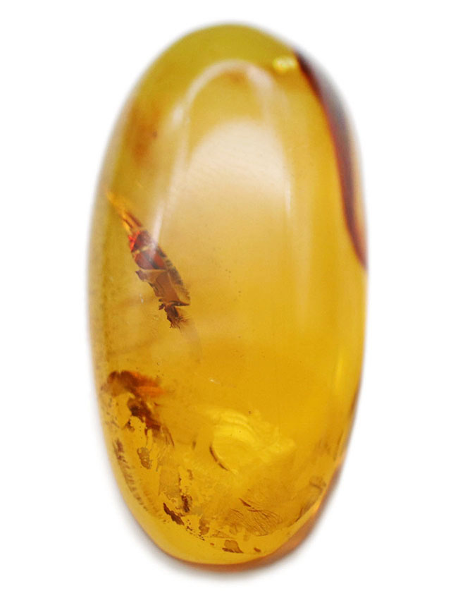 透明度の高さにご注目！光をあてるとレモンイエローを呈する、メキシコ産の琥珀（Amber）（その2）