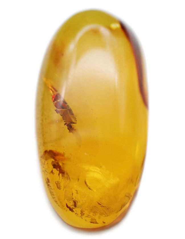 透明度の高さにご注目!光をあてるとレモンイエローを呈する、メキシコ産の琥珀(Amber)(その2)
