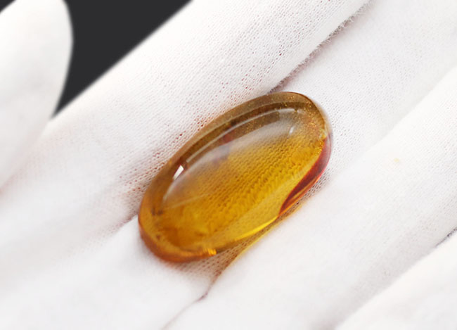透明度の高さにご注目!光をあてるとレモンイエローを呈する、メキシコ産の琥珀(Amber)(その3)