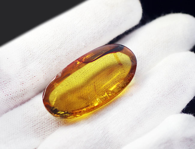 透明度の高さにご注目!光をあてるとレモンイエローを呈する、メキシコ産の琥珀(Amber)(その4)