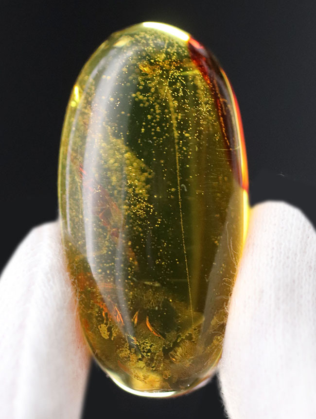 透明度の高さにご注目!光をあてるとレモンイエローを呈する、メキシコ産の琥珀(Amber)(その5)