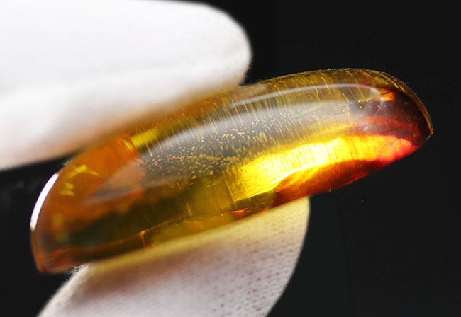 透明度の高さにご注目!光をあてるとレモンイエローを呈する、メキシコ産の琥珀(Amber)(その6)