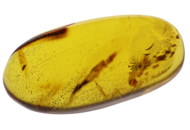 透明度の高さにご注目!光をあてるとレモンイエローを呈する、メキシコ産の琥珀(Amber)(その7)