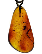 世界最古の宝石の一つ！４０００万年前の針葉樹の樹液に起源をもつバルティックアンバーを使ったペンダントトップ（シルバーチェーン、高級ジュエリーケース付き。）バルト海産。