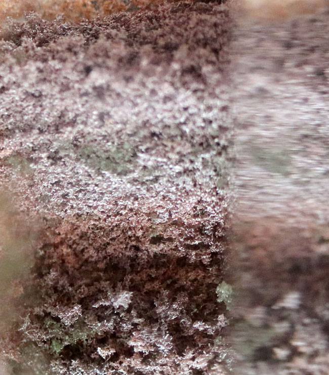これぞガーデンクォーツ(Garden Quartz)!「箱庭」を内包した不思議な水晶(その3)