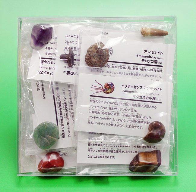 お子様用プレゼントに最適!鉱物メインの9点セット(アメシスト、タイガーズアイ、ジャスパー、アベンチュリン、ローズクォーツ、スピノサウルス歯、光るアンモナイト、アンモナイト、サメの歯)(その11)