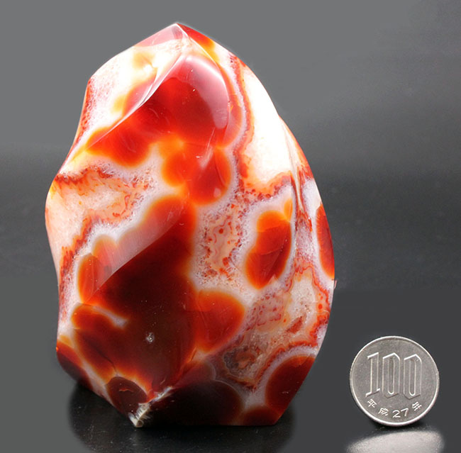 燃えるようなビッグサイズの玉髄、その名もフレーム・カーネリアン(Carnelian)。濃い赤に染まった巨大な紅玉髄。(その12)