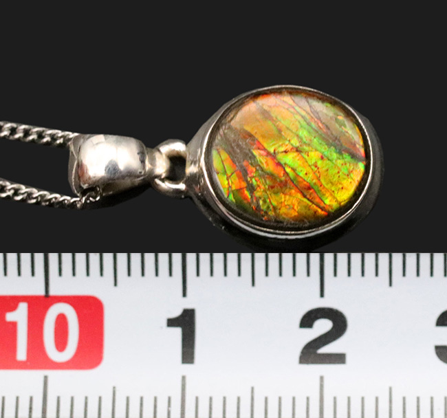 秋から春へダイナミックな変化！宝石アンモライト（Ammolite）を使ったペンダントトップ。金具はスターリングシルバー。チェーン、革紐、ジュエリーケース付き（その7）