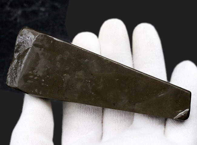 10センチを超えるロングピース!これぞレッドドラゴン!カナダ産アンモ”ラ”イト(Ammolite)(その8)