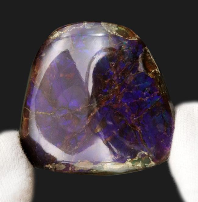 ザ・パープル！希少色、紫や青で満たされた、非常に希少なアンモライト（Ammolite）のピース（その5）