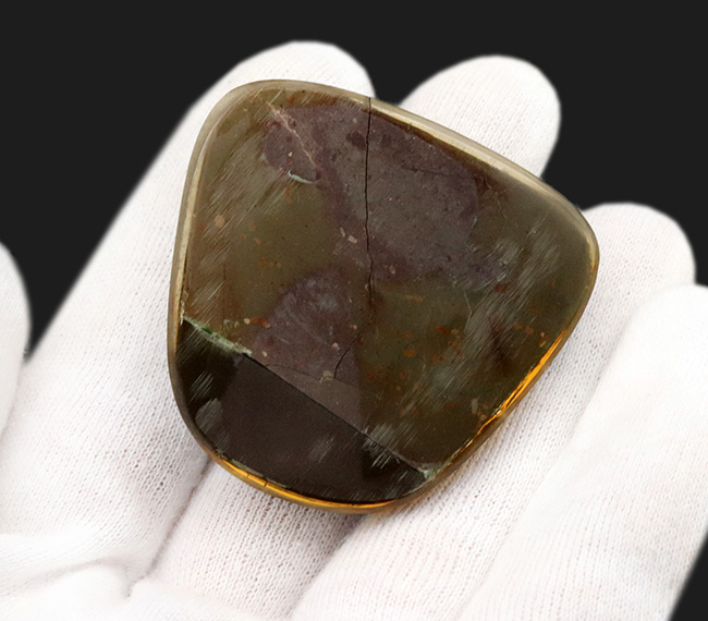 ザ・パープル!希少色、紫や青で満たされた、非常に希少なアンモライト(Ammolite)のピース(その6)