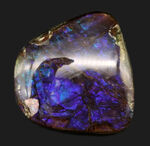ザ・パープル！希少色、紫や青で満たされた、非常に希少なアンモライト（Ammolite）のピース