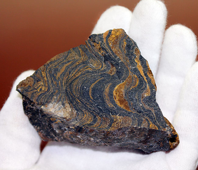 ナチュラルな味わい、縞状層を確認できるボリビア産ストロマトライトの原石（その4）