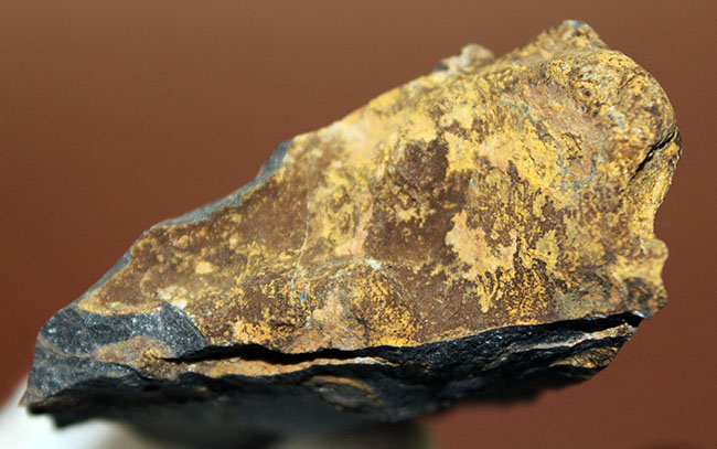 ナチュラルな味わい、縞状層を確認できるボリビア産ストロマトライトの原石（その7）