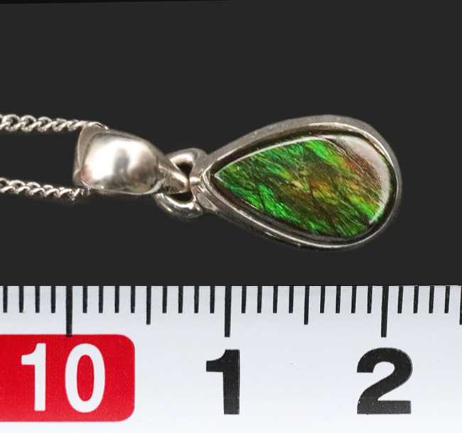 高い注目を集めている生物起源の宝石、アンモライト(Ammolite)が使われたペンダントトップ。金具はスターリングシルバー。チェーン、革紐、ジュエリーケース付き(その6)