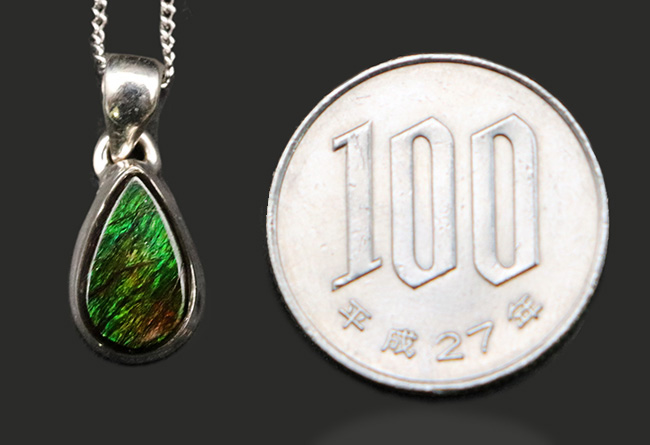 高い注目を集めている生物起源の宝石、アンモライト(Ammolite)が使われたペンダントトップ。金具はスターリングシルバー。チェーン、革紐、ジュエリーケース付き(その7)
