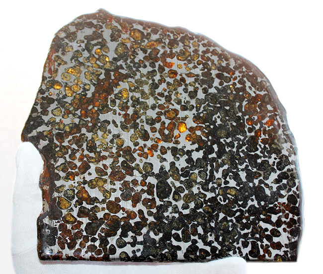 スペシャルサイズ！４４０グラムオーバー！２０センチに迫る、並外れた大きさのケニア・セリコ産パラサイト隕石（本体防錆処理済み）（その11）