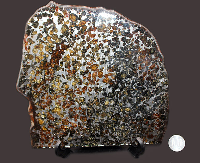 スペシャルサイズ！４４０グラムオーバー！２０センチに迫る、並外れた大きさのケニア・セリコ産パラサイト隕石（本体防錆処理済み）（その12）